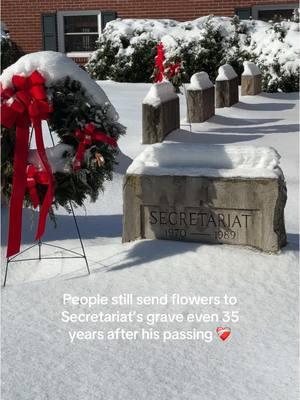 Rest easy, Big Red 🕊️ #secretariat #thoroughbred #equestrian #goat  📍Claiborne Farm in Kentucky