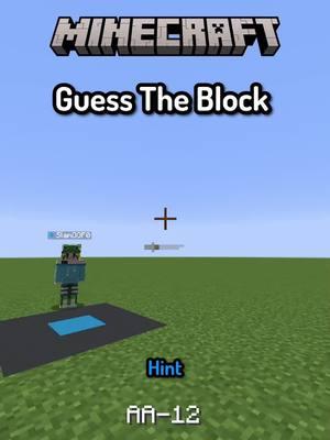 Minecraft Guess The Block #Minecraft #minecraftmemes #memes #funny #slyp 