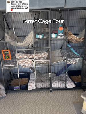 Replying to @pifmo_ I only close it when I’m sleeping otherwise they can go in and out whenever #fyp #ferret #nipperandkipper #ferretsoftiktok #cuteanimals #cagetour #ferretcage #birdcage #DIY #foryoupage #foryourpage #ferrettok #ferretroom #aesthetic #mansion 