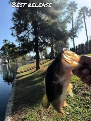 Love fishing man. I love seeing other people repost my videos<3 much love from everyone. #fyp #fypage #foryou #fypシ #fyppppppppppppppppppppppp #theboyz #thefellas #bass #bassfishing #fishing #largemouthbass 