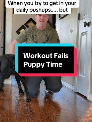 Damn 🐕 🐶 dogs #workoutfails #dogsoftiktok #weimaranersoftiktok #labrador #mischievous #playtime 