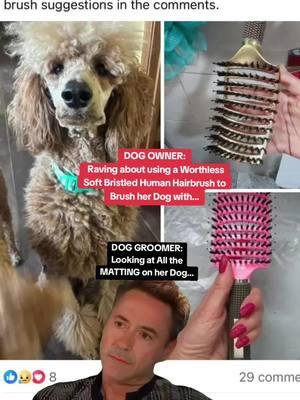 A slicker Brush and metal Greyhound Comb would have been a better Choice. #Meme #MemeCut #memenatal #CapCut #doggroomersoftiktok #doggroomer #dayinthelifeofadoggroomer #doggrooming #matteddog #slickerbrush #greyhoundcomb 