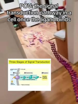 Just took AP Bio unit 4 test on this 🤞DC: @hello domino fans #apbio #bio #biology 