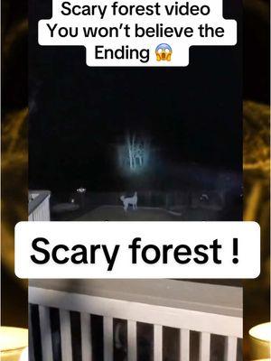 In this scary video from the forest, you will not believe what this family catches on camera. #horrortok #caughtoncamera #scarymoments #scarymoments #mystery #creepyforest #scaryforest 