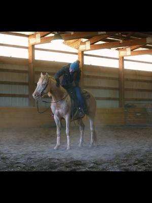 Keep it up #horsetraining #horsetrainer #coltstarting #cowhorse #reinedcowhorse #reining #quarterhorse #westernlife #keepitup #spinning 