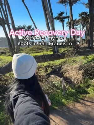 #sanfrancisco #bayarea #bayareatrails #bayareahikes #sf 