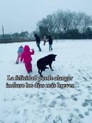 #snowday #jugandoenlanieve #bonitodia #undiaalaño #nevada2025 #nevadaenero #familylara10🏠 #viralvideo 