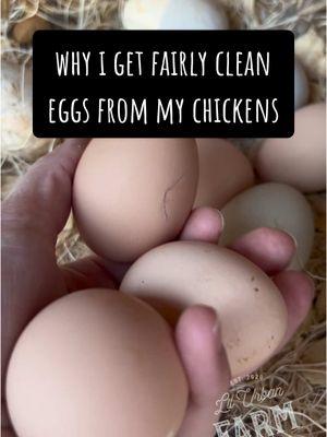 Believe it or not, my chickens’ eggs stay pretty clean (most of the time). Here’s what I think makes a big difference… This is not an affiliate endorsement for this product. I found these nesting pads a year ago because I had eggs continually breaking. Ever since I began using these, I’ve had no more broken eggs and cleaner eggs in the nests.  #chickens #chicken #eggs #backyardchickens #poultry #urbanfarm #urbanfarming #nestingpads