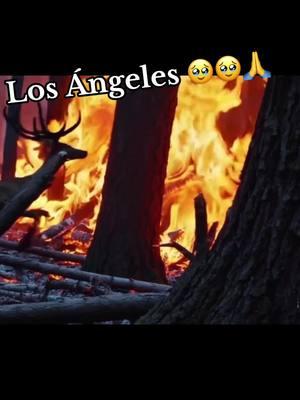 #incendiosforestales#en#califirnia#🥹🥹🥹 #viralvideotiktok 