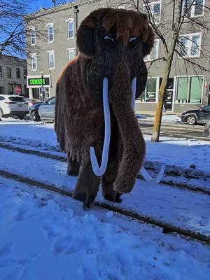 #kenoshastreetcar #kenosha #rhodetheater #play #theater #mammoth #norbertthemammoth  #fyp  #foryoupage #fypviralシ 