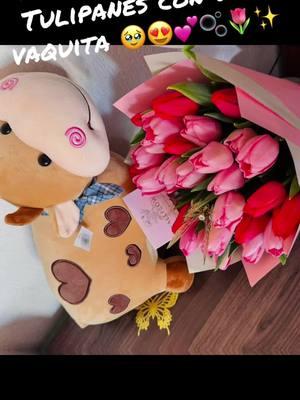 #tulipanes🌷 #vaquitas #🐮💘☁️ #Mi #sueño #frustrado #pati #paratiiiiiiiiiiiiiiii #fypシ゚viral #foryourpage 