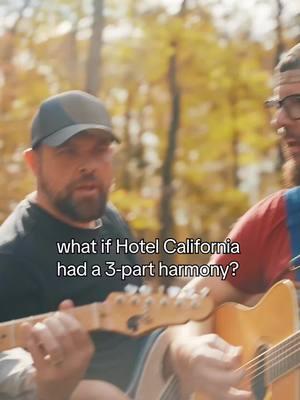 what song should we cover next? #hotelcalifornia #cover #3partharmony #newgroup 