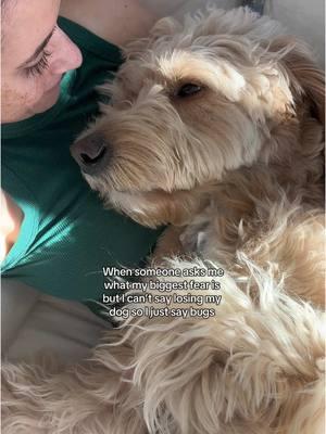 I don’t want to spend a day without him 🥺 #doglove #goldendoodle #biggestfear 