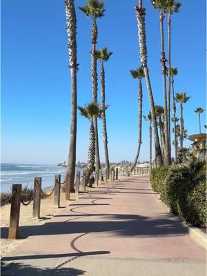 if you wanted a sign to visit San Diego here it is #sandiego #pacificbeach 