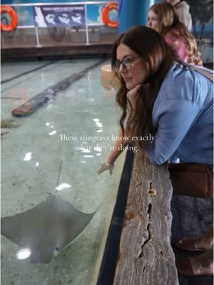 Little stinkers  @The Florida Aquarium  . #aquarium #stingray #stingrays #floridaaquarium #tampa #tampaflorida #ocean #oceanlife #familyday #fyp #foryou #foryoupage 