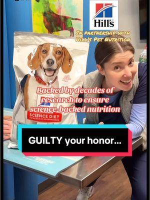 #ad #HillsPartner Your honor.... (for legal purposes this is a joke). More info available at the link in my bio. @Hill’s Pet Nutrition #ScienceBackedNutrition #HillsGivesBack #HealthyPets #PetWellness