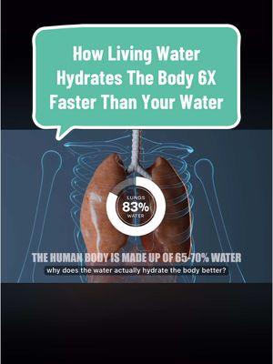 Your Water is too hard to digest 🩻 Kangen Living Water is structured to the perfect size for our cells to absorb easily which is why people immediately feel the effects of the properties of the water when ingested or added to alongside anything! ⚡️💦🩸🦾 Switching to this water is the closest thing to having personal IV injection of nutrients every gulp 💉🧬 #kangenwater #healthylifestyle #immunesystembooster #hydrationiskey #hydrationtips #teadrinker #coffeedrinker 