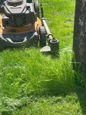 The Trimyxs is so quick and easy to use while mowing the lawn! Check it out! #trimyxs #linkinbio #trim #edge #mow #fyp #foryou #grass #grasstok #lawn #lawntok