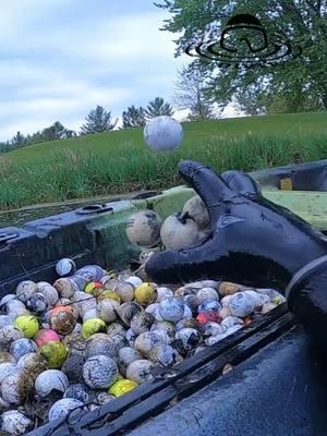 Watch out for the snapper! 🤣  Golf Ball recovery in Luxemburg, WI at Northbrook Golf & Grill. We found 840 in about an hour! 😳👍  #golfballs #scubadiving #fyp #fun #foryou #kayak #luxemburg #wisconsin #Outdoors #golf #golfing #pond 