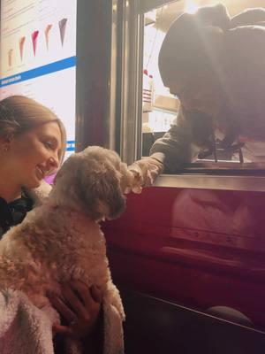 mindy screams for @🍦Scream Truck🍦 #screamtruck #icecream #dogicecream #icecreamtruck #pink #dogsoftiktok 