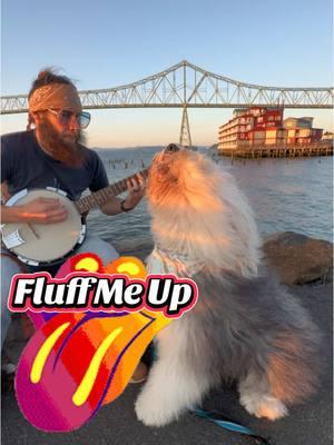 #throwback to “Fluff Me Up” by The Rolling Bones . . #dog #pup #cute #happy #pet #dogsoftiktok #tbt #throwbackthursday #oldenglishsheepdogs #tiktokdogs #dogoftheday #hair #adorable #singingdog #thewildrumpus #duo #oes #singer #song #howl #foryoupage #foryou #duo #guitardog #rockdog #reels #Siblings #dogsoftiktok #music #dogs #PetsOfTikTok #pets #pet #puppy #dogtok #doglover #welovetosmile #petlover #puppytiktok #vibes #thegreatwhitefluffalo #joy #smiles #howler #dogsong #dogsongs #Love #familyband #dogband #dogsinger #joyous #shaggydog #pnw #pnwdog #coversong #cover #thestones #therollingstones #rollingstones #startmeup #fluffmeup #acoustic #banjo