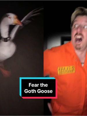 #duet with @гусь Семён Fear the Goth Goose #scptiktok #scp #scpfoundation #drsherman #site42 #dclass #gothgoose