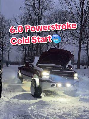 Will the Ford 6.0 Powerstroke diesel truck start in this cold weather? #powerstroke #diesel #trucks 