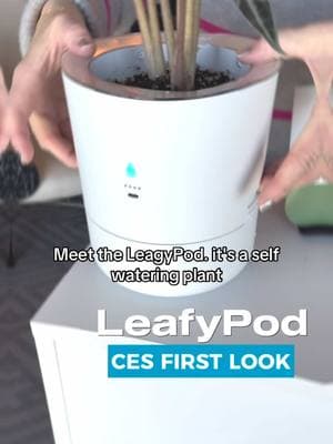 Brown thumbs rejoice! The LeafyPod is here to make sure you never kill a plant again #gardening #gardenproject #plants #plantsoftiktok #gardening101 @USA TODAY @TODAY Show #ces #texhnology #gardentech #cooltech #robotics 