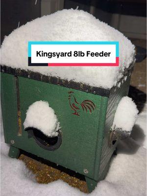 I couldn’t be more impressed with these feeders. #kingsyard #chickenfeeder #chickenmom #TikTokShop 