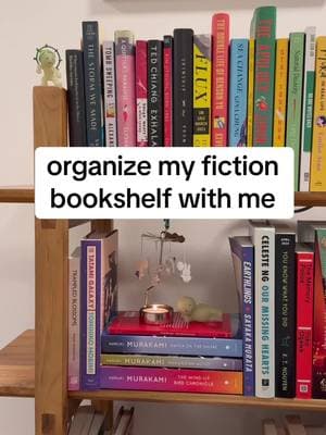 Fiction bookshelf reorganization #satisyfing #bookshelf #books 