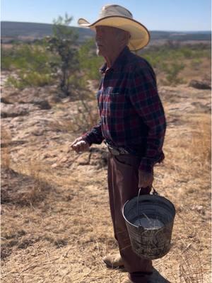 Papá Lupe como siempre probando la sal 😅👨🏽‍🦳🇲🇽🤠🐮🧂 #vamonosalrancho #papalupe #rancho #salparalasvacas #jalisco #mexico #abuelito #abuelitodeltiktok #ganado #ganadero #grandpa #cows #livestock #fyp #parati 