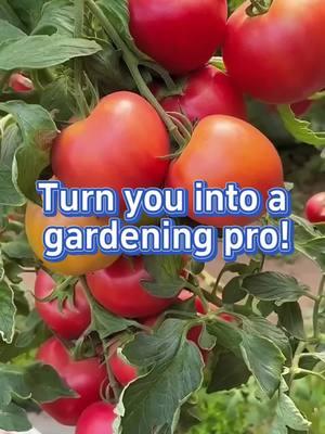 #plants #vegetables #garden #farm #gardening #planting #farmlife #gardentips #farmin #fertilizer #homegarden #planterstrickshot 