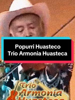 Popurrí Huasteco 🎻 Trío Armonía Huasteca #trioarmoniahuasteca #armoniahuasteca #zimapanpueblomagico #zimapan #trioshuastecos #trioshidalgenses #huastecahidalguense #hidalgomexico #jacala #chapulhuacanhidalgo 