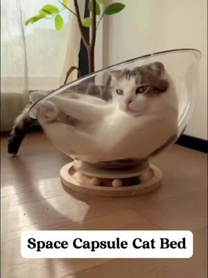 Space capsule Cat bed for spring and summer 🥰🥰🐾🐈 www.kzlaa.com, all cats  staff, cat trees, cat house, cat bed, cat toys, etc. 🌏🔗shipping worldwide#kzlaa #cats_of_world #catlover #cats #foryou #catsofinstagram #catbed #cathouse #catbaby #furbaby #furball #ferret 