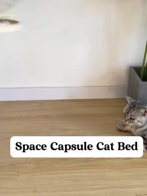 Space capsule Cat bed for spring and summer 🥰🥰🐾🐈 www.kzlaa.com, all cats  staff, cat trees, cat house, cat bed, cat toys, etc. 🌏🔗shipping worldwide#kzlaa #cats_of_world #catlover #cats #foryou #catsofinstagram #catbed #cathouse #catbaby #furbaby #furball #ferret 