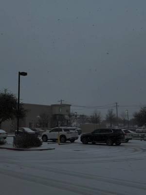 it’s a miracle, texas sees snow 🤍 this little elderly man said “this brings out the kid in you” 🥹 yes, yes it does. everyone was like a kid in a candy store 🫶🏼  #texas #winter #snow #snow #fypシ #fyp #admire 