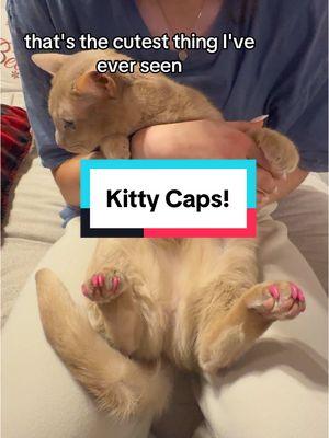 These were so adorable! Too bad she didnt think so @sydney dean #kittycaps #declawing #prettynails #pink #prettynails #christmasgift #nails #catnails #clawcovers #clawcaps #kitty #notafan #wetried #didntstay #cat #catnails #kittynails #familyfun 