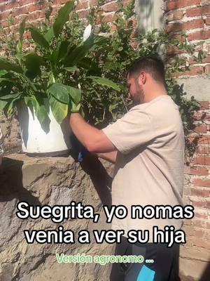 Cuando eres ing. Agronomo y vas a visitar a tu novia  Tu suegra automaticamente: #humor #agro #plantas 