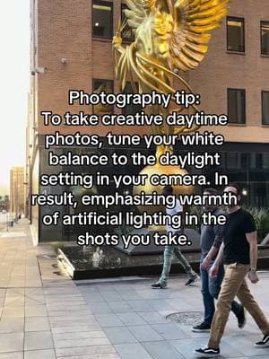 How to take better daytime photos. #photography #learnphotography #photographytips #cameras 