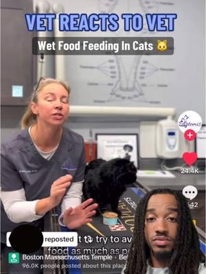 great explanation from this veterinarian 👏! #fyp #viral #catsoftiktok #cattok #catfood #catnutrition #cats #wetfood 