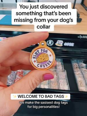 nice to meet you 👋🏻 #funnydogs #pettags #dogtagsfordogs #badtags #petidtags 