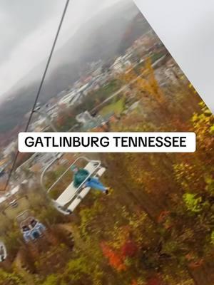 #creandomemorias #gatlinburg #viajes #añonuevo #videoviral #fup #tips 