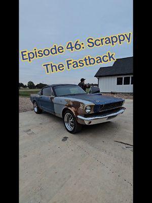 Scrappy has a new look! #HouseOfTint #Blueprint #Fastback #Mustang #Ford #Holley #SimonsPowerhouse 