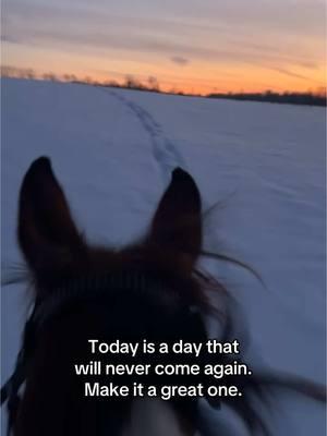 #horses #horsesoftiktok #quotes #winter #snow #horserunning #winterstorm #sunset #painthorse #quarterhorse #apha #aqha #inspiriationalquotes #ohio #viral #tiktok #fyp 