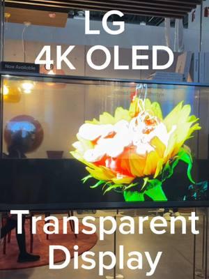 @LG Electronics USA announced the world’s first transparent 4K OLED display #newegg #lg #ces #ces2025 #tv #4k 