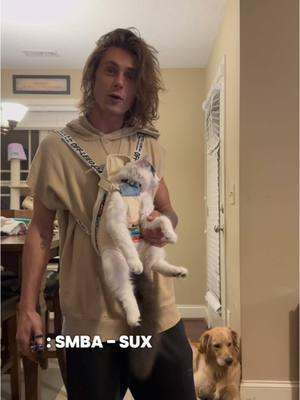 New song is dropping tomorrow 1/10 !  “SUX” by @SMBA  #newmusic #newrelease #SUX #catdaddy #artist #newmusicfriday 