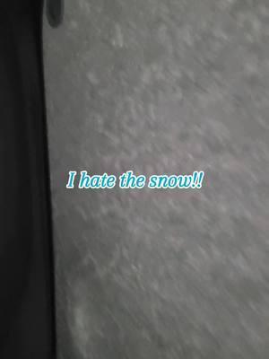 snow is bullshit #snowisbullshit #imcold #snowsnowgoaway #ihatethesnow #bullshit 