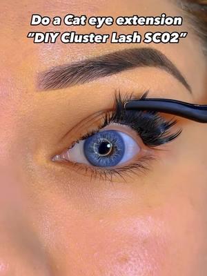 Do my Cat lash extensions with “DiY Cluster Lashes KLS81”. Shop link in Bio #clusterlashes #diyclusterlashes #wholesalelashes #eyelashextension #lashvendor #wholesalelashesvendors 