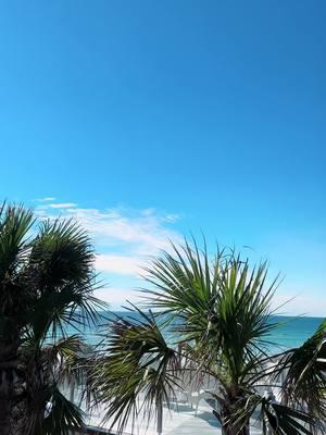 few little pieces of my day 🤍 #30a #florida #seasidefl #seaside #diml #college #senior #rosemarybeach #30afl #northwestflorida #panhandle #inletbeach #traveltok #travel #beachlife #beachlifestyle #healthyliving #healthylife 