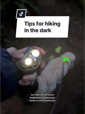 This is also my formal apology to anyone who has heard me singing on the trail 🙃🫠🥴 #hikingtips #solohiking #hikingsafety #solofemalehiker #hikinginthedark 